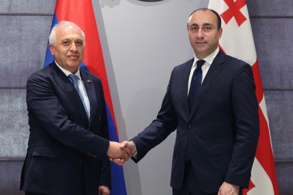 შს მინისტრმა საქართველოში სომხეთის რესპუბლიკის საგანგებო და სრულუფლებიან ელჩთან შეხვედრა გამართა