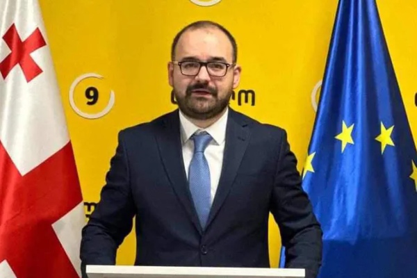 არაღიარებული პრემიერის განცხადება, რომ გერმანიის ელჩი ნოტარიალური შეთანხმების გარეშე ახორციელებდა ეკონომიკურ თანამშრომლობას ვინმესთან, იყო აბსურდული და კომიკური! - გრიგოლ გეგელია
