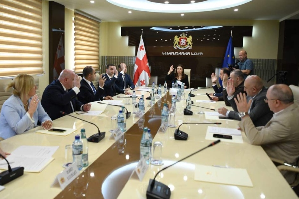 გენერალური პროკურორობის კანდიდატად გიორგი გვარაკიძეა წარდგენილი