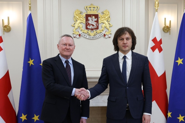 ირაკლი კობახიძე ევროპის საბჭოს ადამიანის უფლებათა კომისარს მაიკლ ო’ფლაერტის შეხვდა