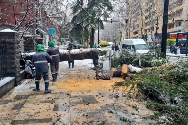 თბილისში უხვმა ნალექმა დაზიანებები გამოიწვია - მერია