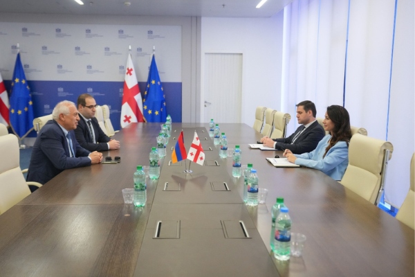 მარიამ ქვრივიშვილი სომხეთის ელჩს საქართველოში შეხვდა