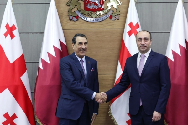 გეკა გელაძე კატარის სახელმწიფოს ახალდანიშნულ ელჩს შეხვდა