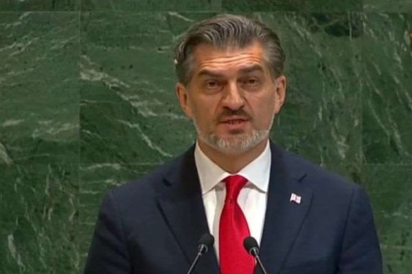 მიხეილ ყაველაშვილი გაეროს გენერალური ასამბლეის მე-80 სესიაზე სიტყვით გამოვიდა