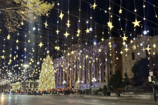 რუსთაველზე, ახალი წლის ჯადოსნურ საპროტესტო ღამეს პრეზიდენტი ხალხთან ერთად შეხდება