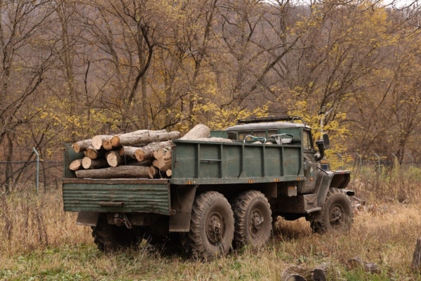 ბოლნის-დმანისის სატყეო უბანზე ხე-ტყის უკანონო მოპოვებისა და ტრანსპორტირების ფაქტი გამოვლინდა
