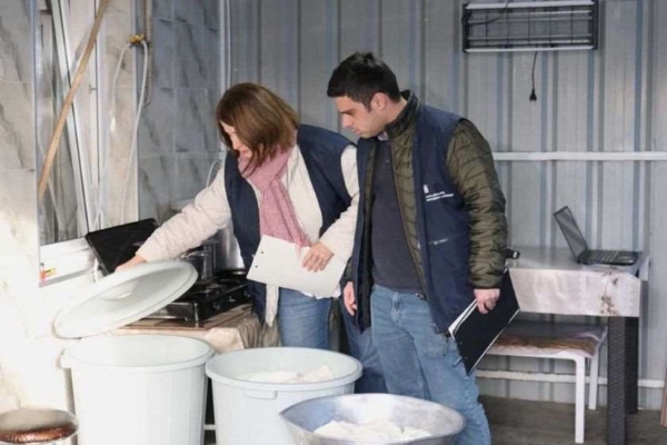 სამტრედიაში ყველის ორი არარეგისტრირებული საწარმო გამოვლინდა